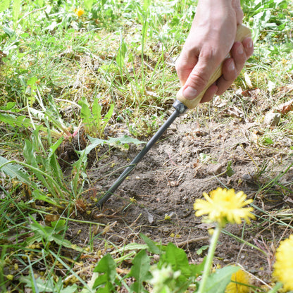Unkrautstecher 'Krafts' - handgeschmiedet  in Deutschland 14cm Griff
