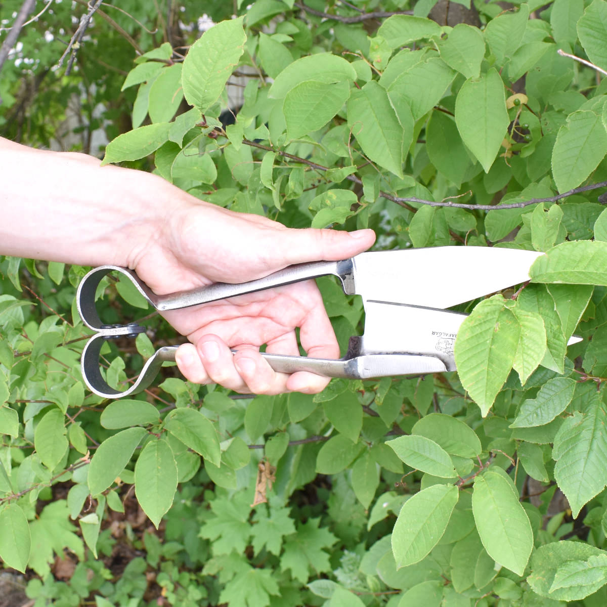 Buchsbaumschere 'Krafts' - handgeschmiedet 24 cm länge