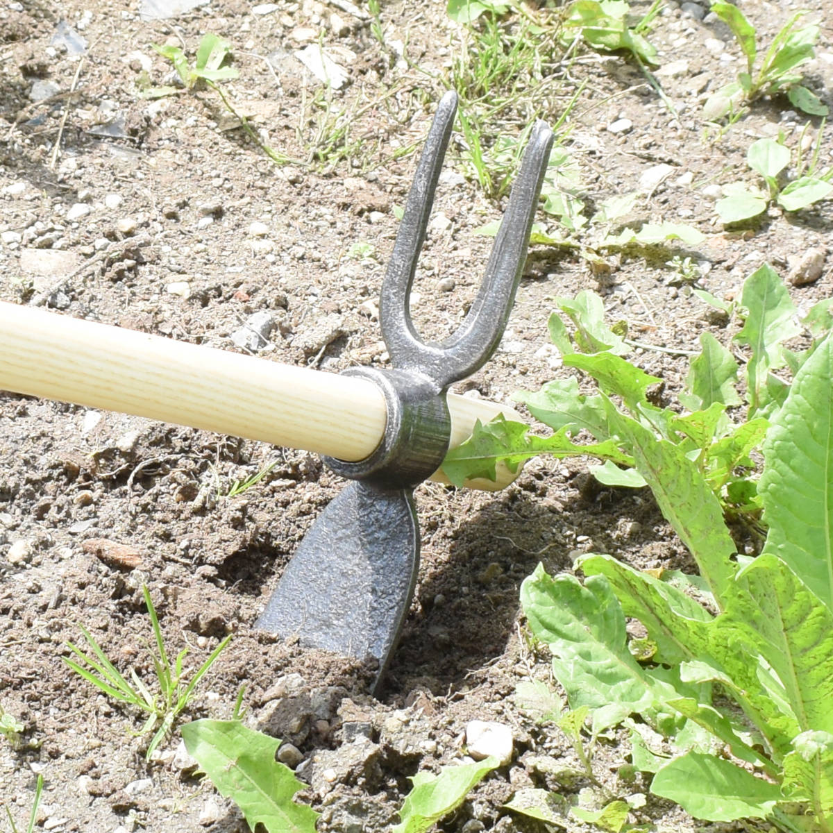 Gartenhacke 'Krafts' - 2 Zinken handgeschmiedet 40cmstil eschenstil