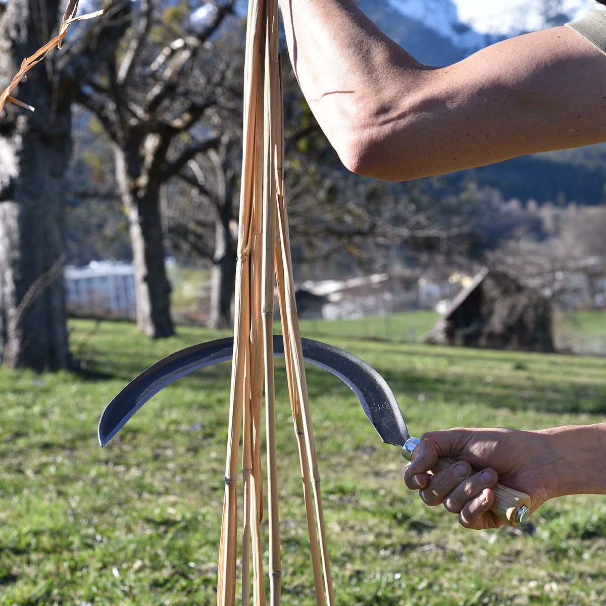 Mondsichel 'Krafts' - handgeschmiedete Sichel rechtshänder 14 cm Eschenstiel