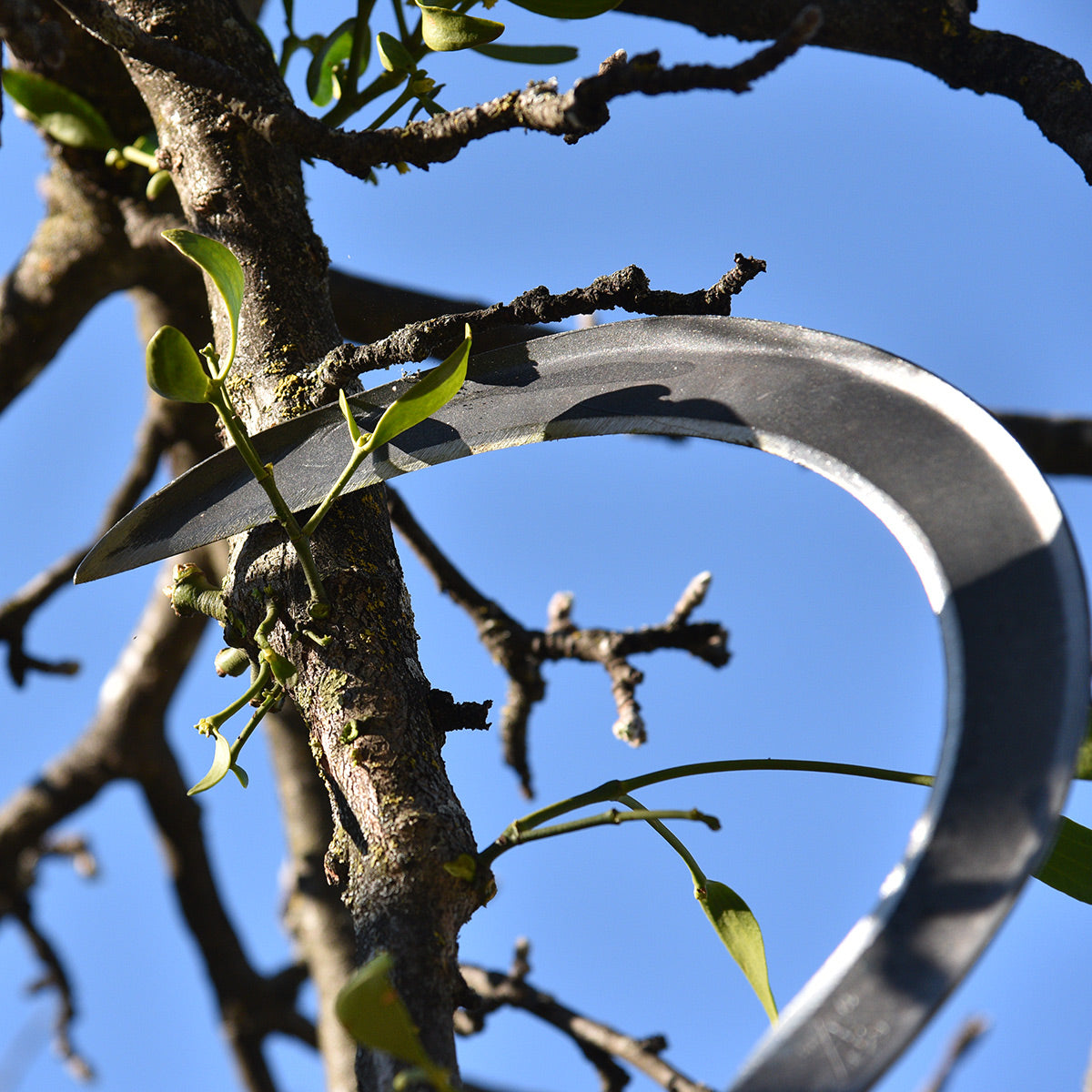 Mondsichel 'Krafts' - handgeschmiedete Sichel rechtshänder 14 cm Eschenstiel