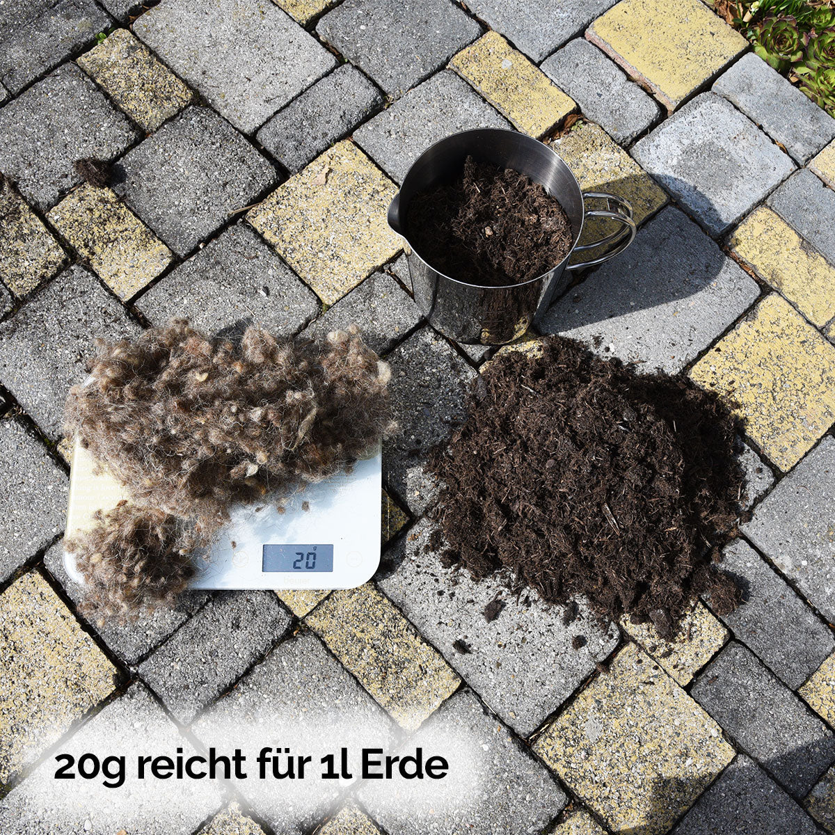 Reine Schafwollnoppen Dünger und Wasserspeicher für Pflanzen und Blumen | 200 g