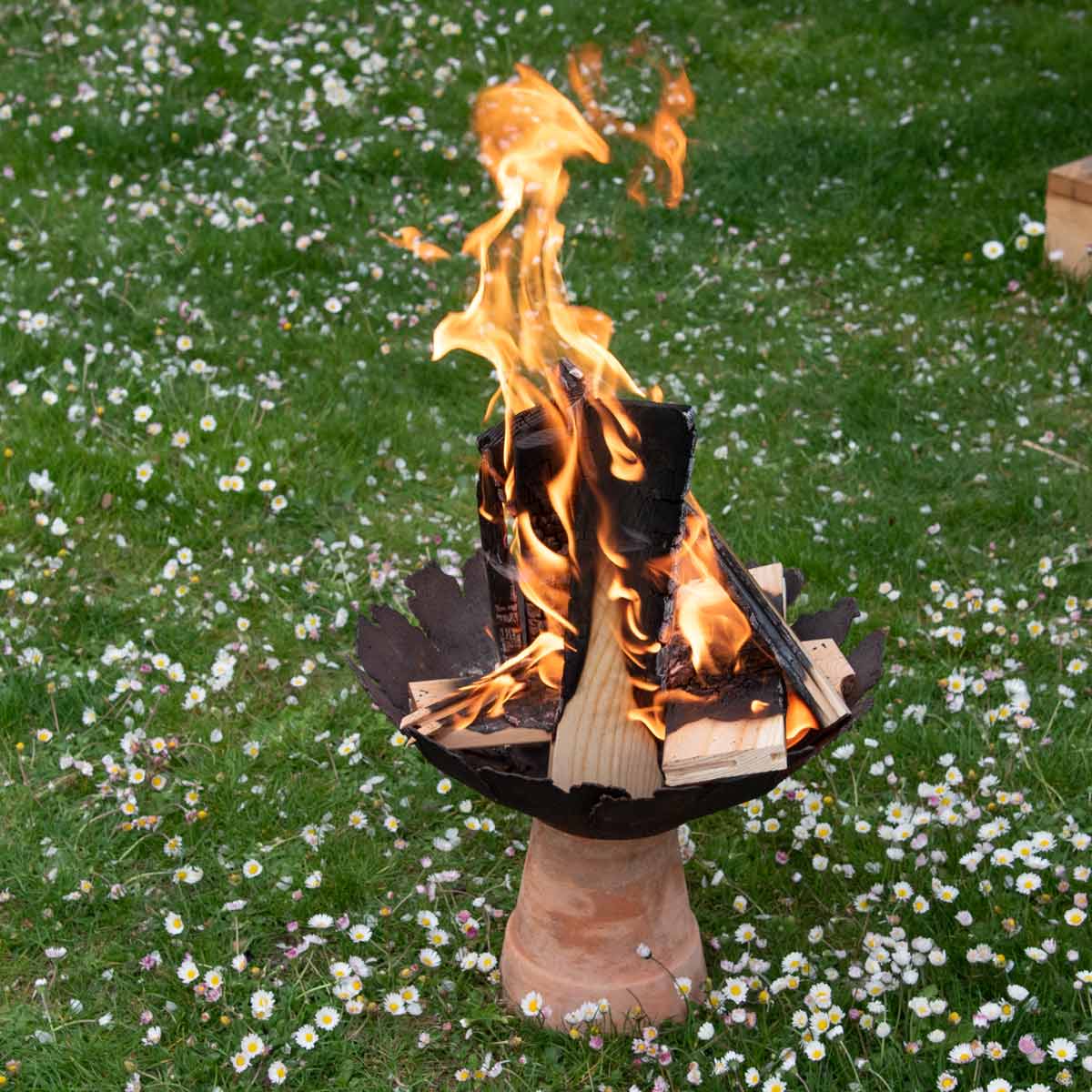 Anzünd- bzw. Grillholz Lärche, 6 kg