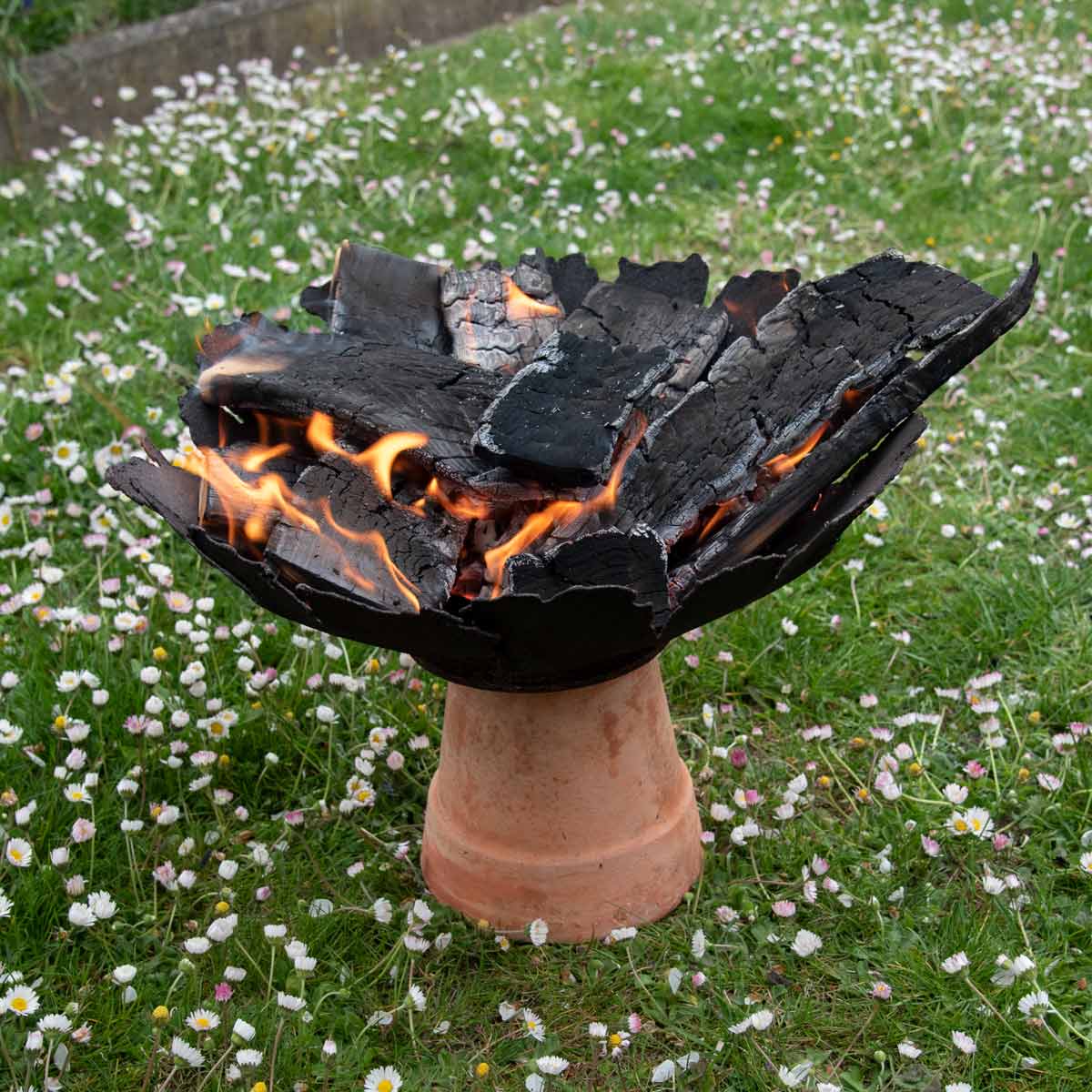 Anzünd- bzw. Grillholz Lärche, 6 kg