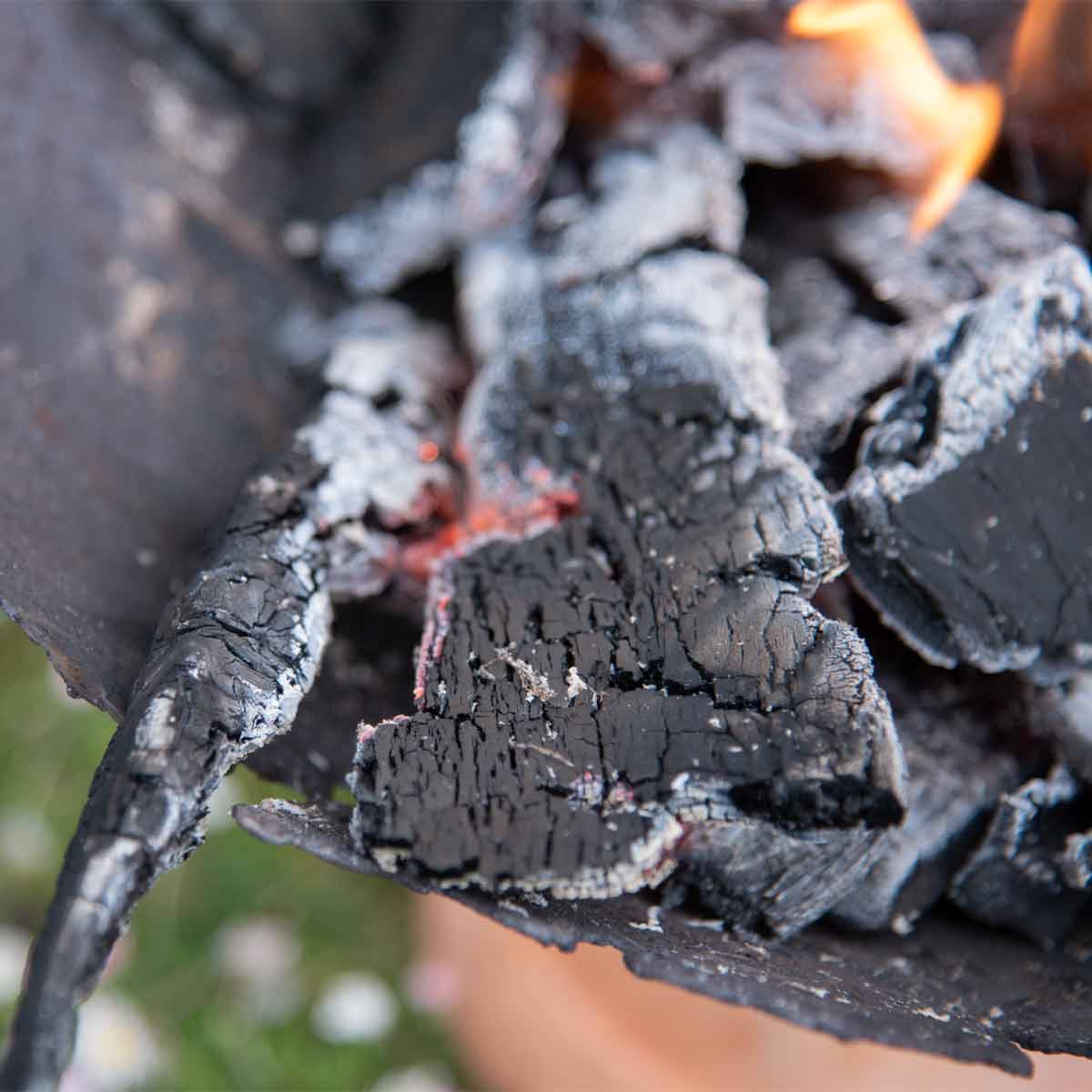 Anzünd- bzw. Grillholz Lärche, 6 kg