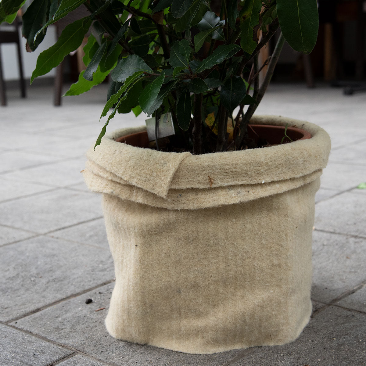 Winterschutzmatte aus reinem Schafwollfilz | 30 x 200 x 0,5 cm | naturweiß | 500 g/m²