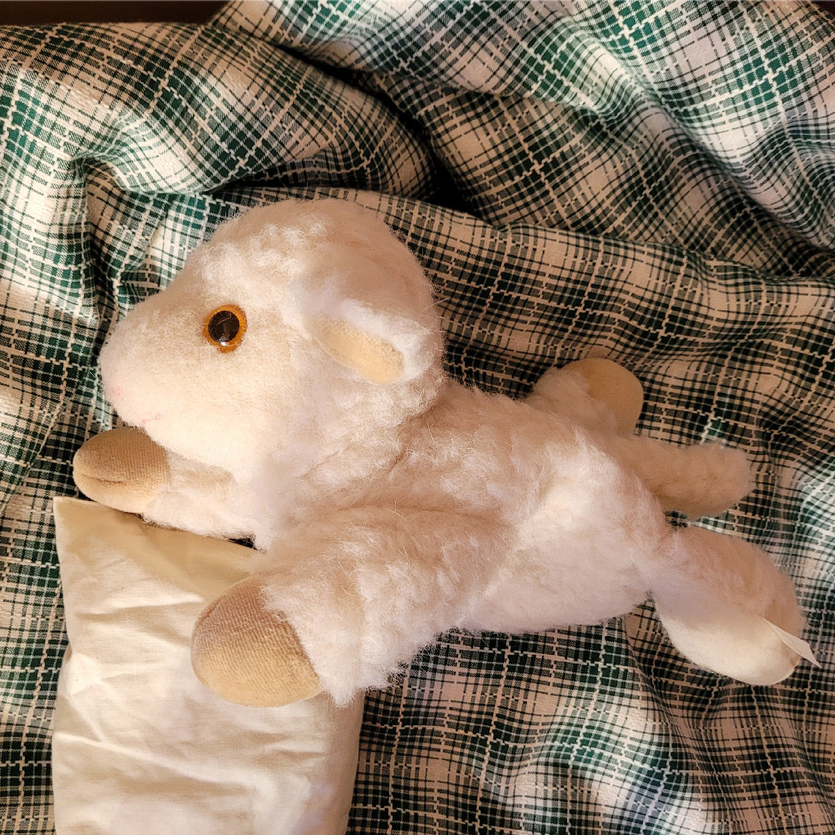 Kuscheltier aus Schafwolle mit Kirschkern Füllung 'Cherry Belly' 24 cm Länge - Handarbeit aus Österreich