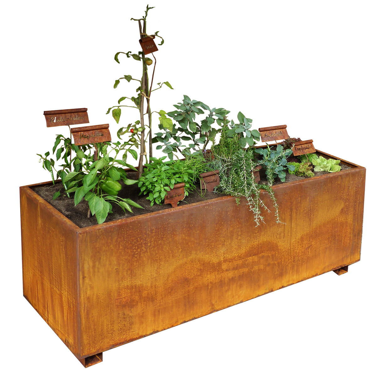 Hochbeet / Pflanztrog 'Industrial Look' aus Edelrost | Zwischenboden | B 125 x T 50 x H 60 cm