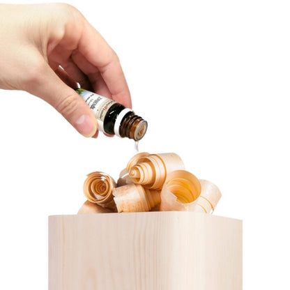 Zirbenöl | 10ml | Glasfläschchen mit Sicherheitsverschluss