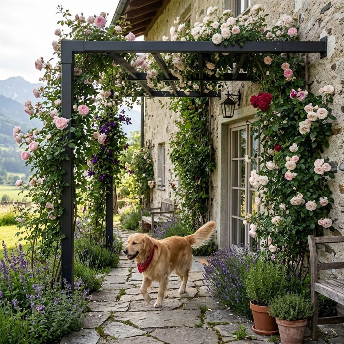 Pergola 'Arcade' | L 198 x B 189 x H 217 cm | Wandmontage | schwarz
