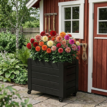 Pflanzkasten 'Cubic' | Rollen und Griff | L 46 x B 50 x H 45 cm | Nadelholz | schwarz