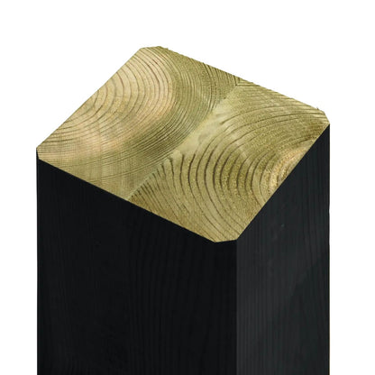 Schaukel 'Daylife' | L 268 x B 198 x H 217 cm | 2 Schaukeln | Holzpfosten | schwarz
