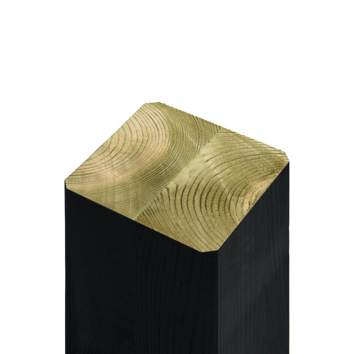 Pflanzenspalier 'Rosenportal' | L 198 x B 108 x H 208 cm | Wandmontage | Stahlgitter | schwarz