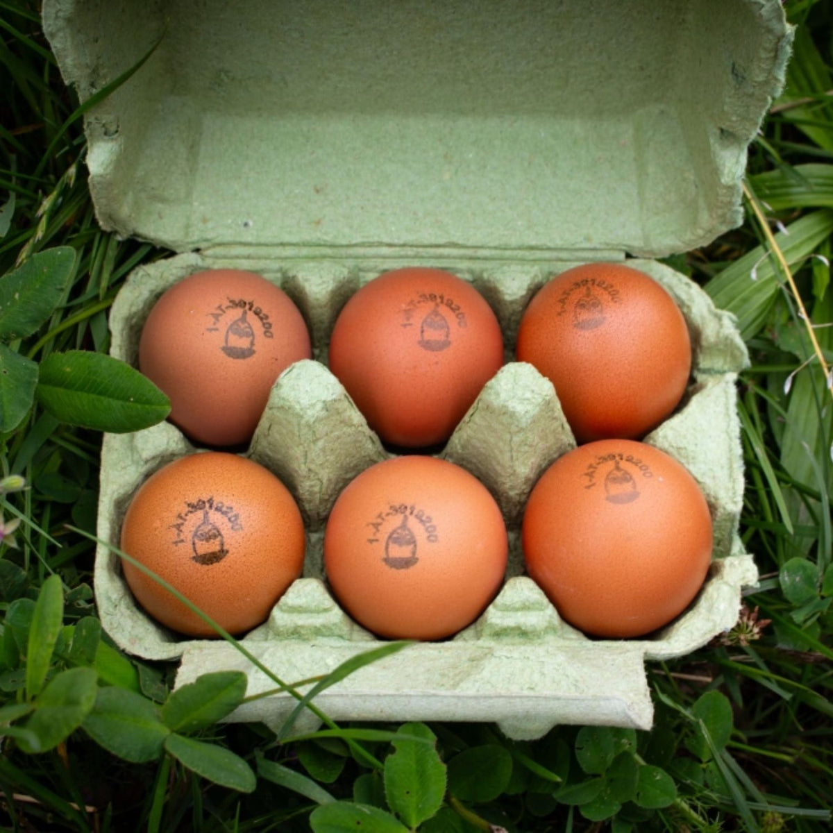 Eier 'Fisser Goggala'