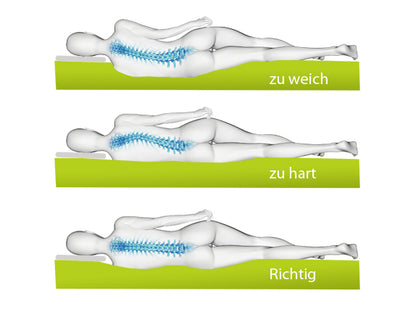 Naturlatexmatratze 'Natura Top Seven'  7 Liege-Zonen 15 cm Stärke 80x200 weich doppeljerseystepp