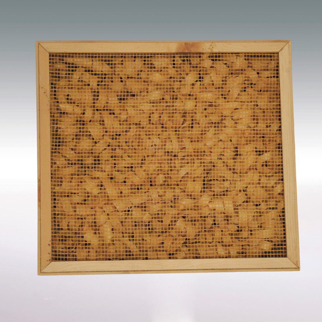 Nachhaltige Klimabox 'Fresh & Free' |  aus Zirbenholz | B 40 x T 40 x H 66 cm